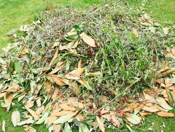 Gestion des déchets verts (tonte, jardinage)