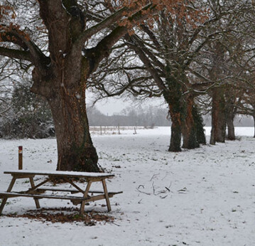 VAGUES DE FROID - recensement des personnes âgées et fragiles