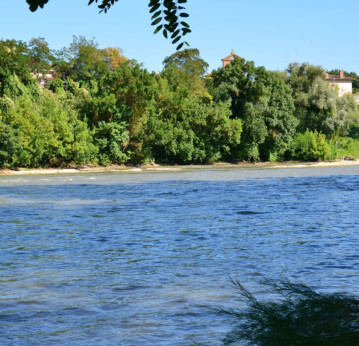 Les bords de Garonne